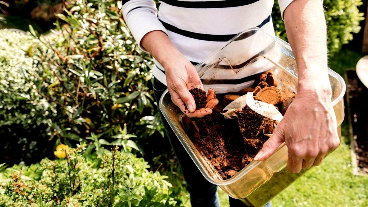hotel-waag-makkum-gooi-je-oude-spons-niet-weg-ze-kan-wonderen-doen-in-de-tuin