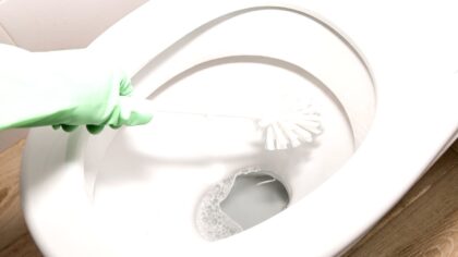 hotel-waag-makkum-ik-testte-de-azijntruc-tegen-kalkaanslag-in-het-toilet-het-resultaat-is-verbluffen