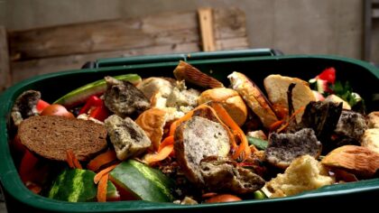 hotel-waag-makkum-mag-je-brood-bij-het-compost-gooien